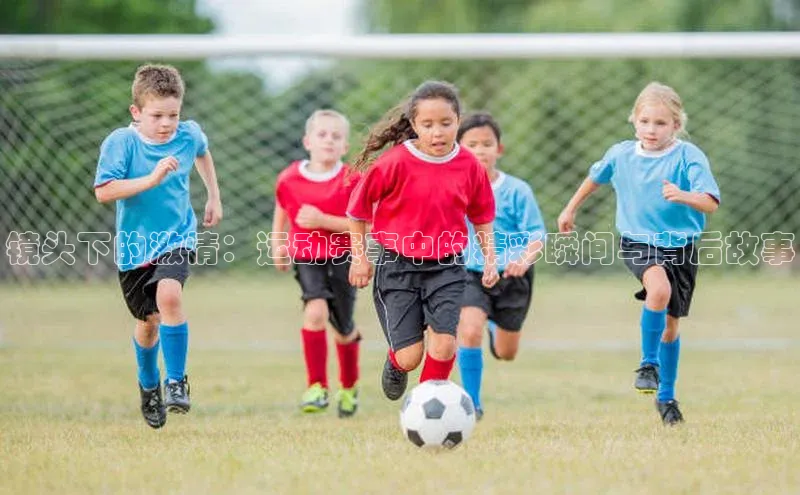 金年会-金字招牌