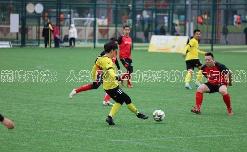 金年会 金字招牌诚信至上